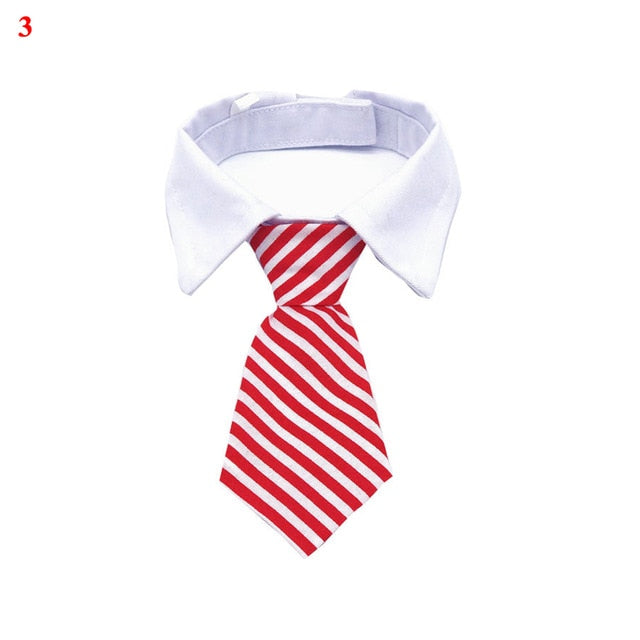 Cute Puppy Dog Striped Bow Tie Collar Pet Adjustable Neck Tie For Party Wedding White Collar Necktie Dog Supplies