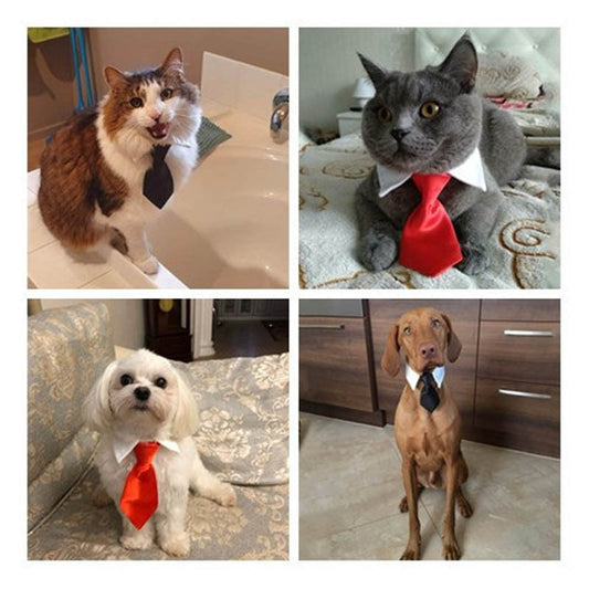 Pet Dog Cat Formal Necktie Tuxedo Bow Tie Black /Red Tie for Small Medium Dog & Cat Pet Accessories Puppy Holiday Party  Gift